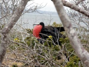 ekvador z galapagosom - odpelji.se