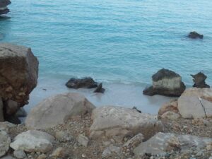 jemen - otok socotra - odpelji.se