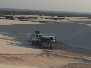 jemen - otok socotra - odpelji.se