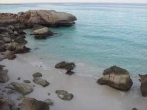 jemen - otok socotra - odpelji.se