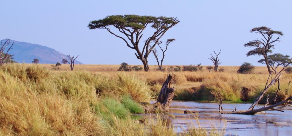 tanzanija nacionalni park