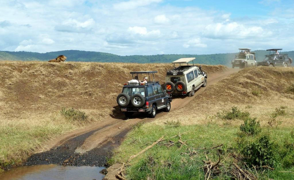 tanzanija safari