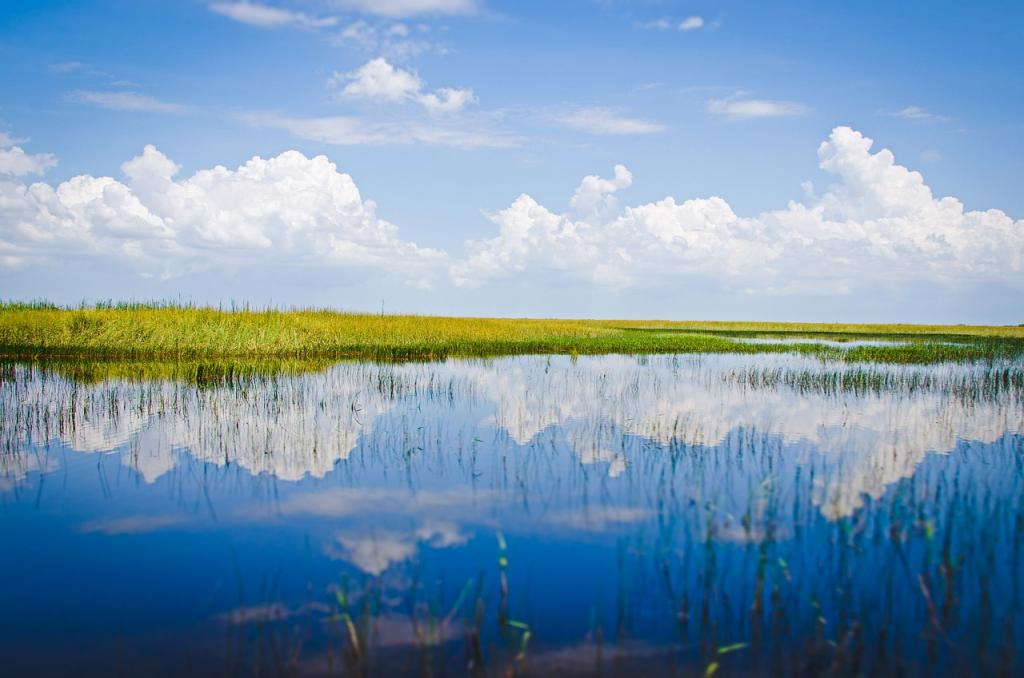 Florida potovanje - Odkrivanje parka Everglades