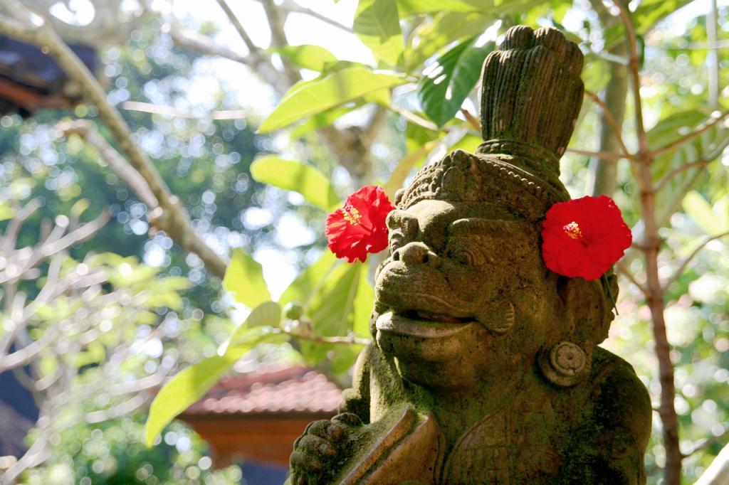 Bali potovanje mesto Ubud