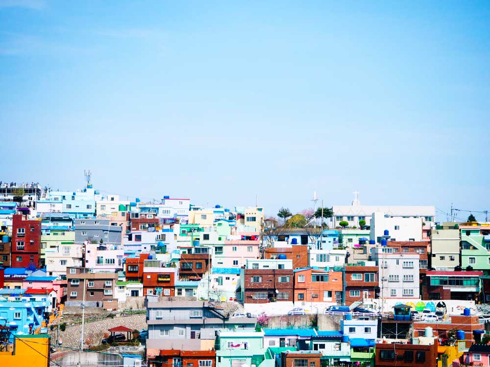 busan-vasica